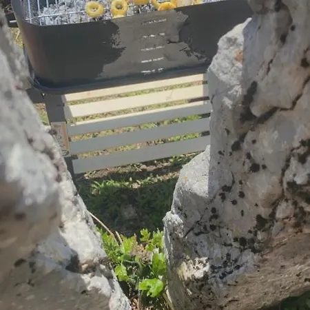 Casa Luciana Nel Cuore Dell'Alpe Bertoldi Exterior foto
