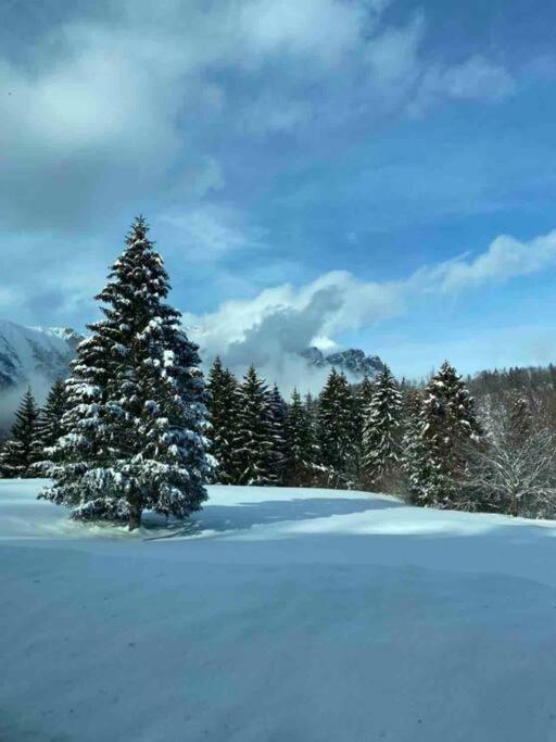 Holiday home Casa Luciana Nel Cuore Dell'alpe *